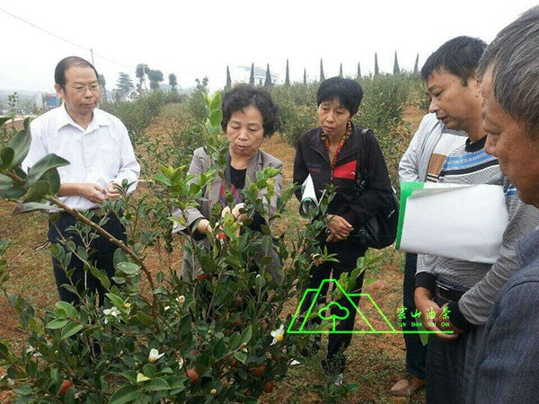 江西農業大學郭曉敏基地指導工作